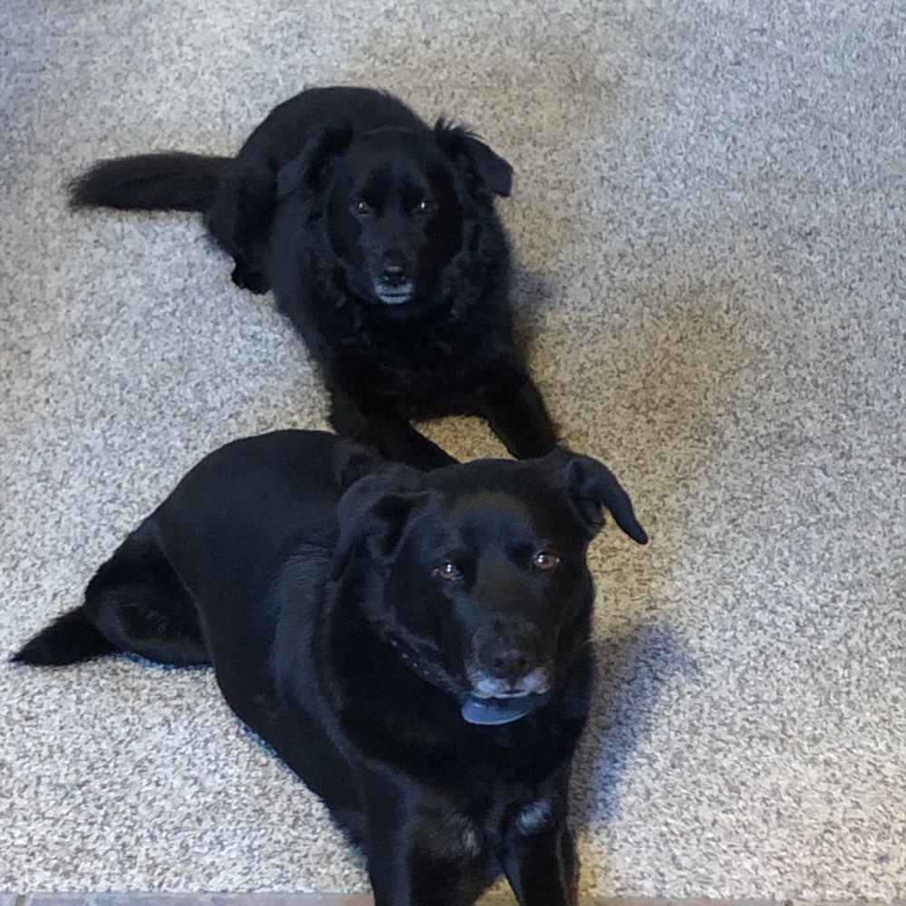 Meet your Posher, Rain